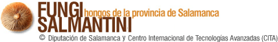 Hongos de la Provincia de Salamanca